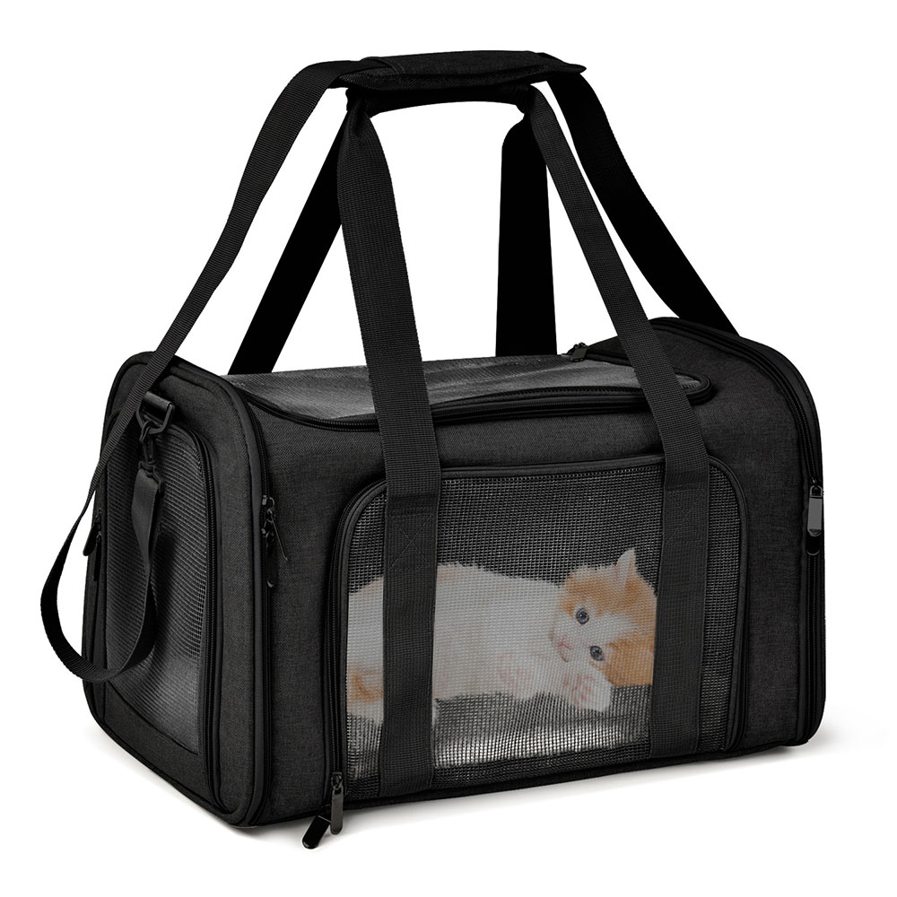 Foldable Waterproof Travel Cat - Foldable Backpack Small 评论和价格